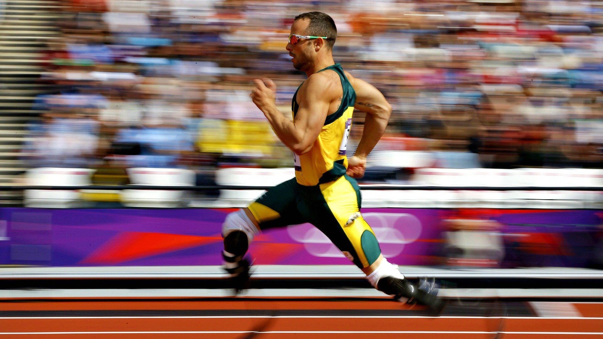 “新加坡泳池热战！游泳与水上芭蕾让观众大呼过瘾”